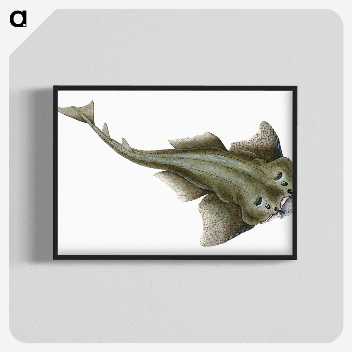 1-90_The-Natural-History-of-British-Fishes_blk-crop