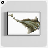 1-90_The-Natural-History-of-British-Fishes_blk-crop