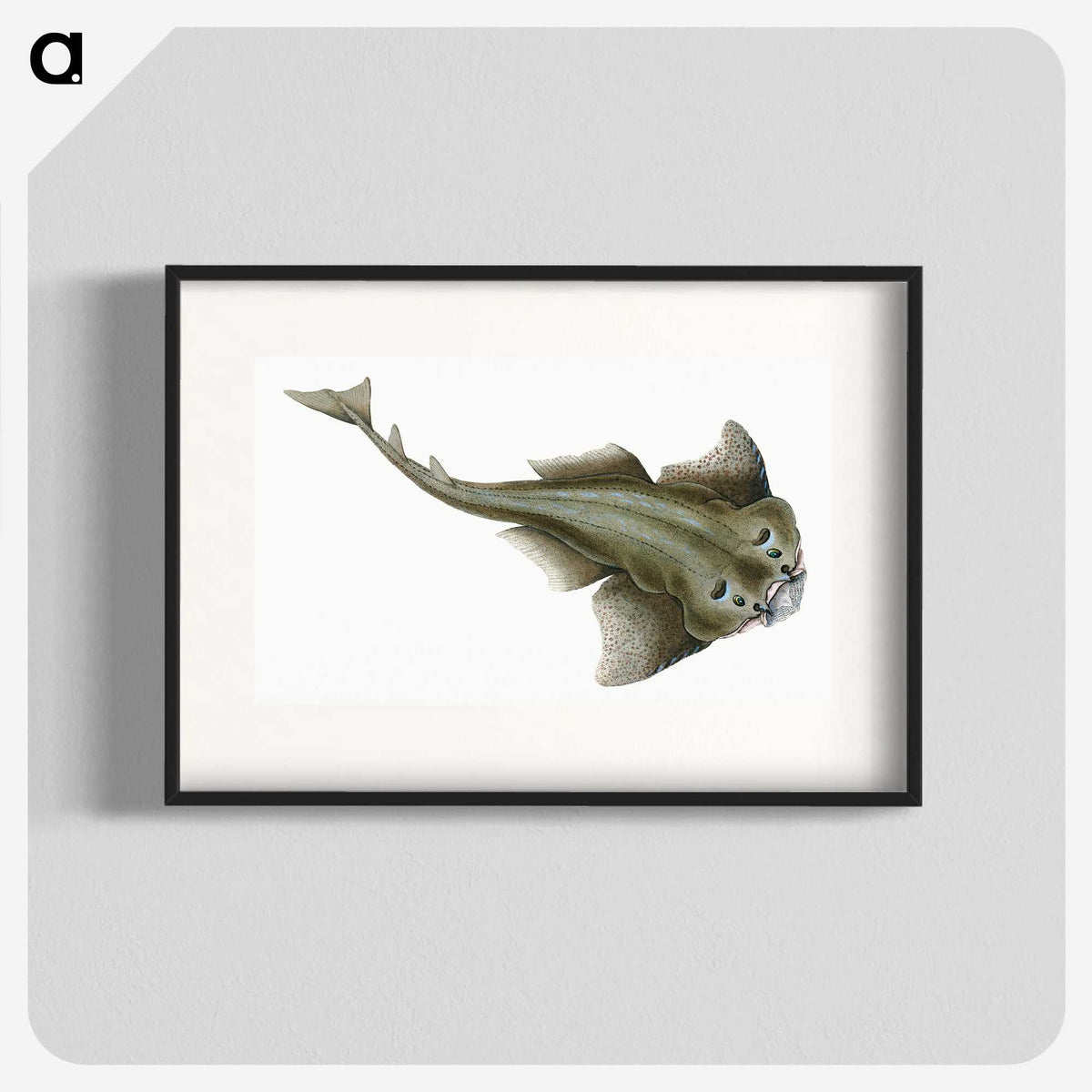 1-90_The-Natural-History-of-British-Fishes_blk