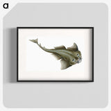 1-90_The-Natural-History-of-British-Fishes_blk