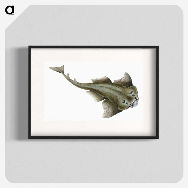 1-90_The-Natural-History-of-British-Fishes_blk