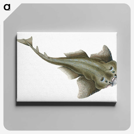 1-90_The-Natural-History-of-British-Fishes_canvas