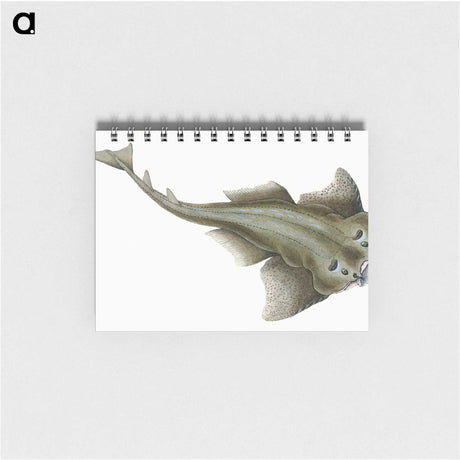 1-90_The-Natural-History-of-British-Fishes_memo