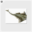 1-90_The-Natural-History-of-British-Fishes_postcard
