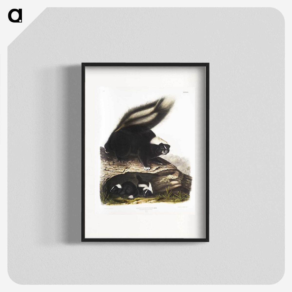 1-90_The-Viviparous-Quadrupeds_blk