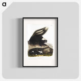 1-90_The-Viviparous-Quadrupeds_blk