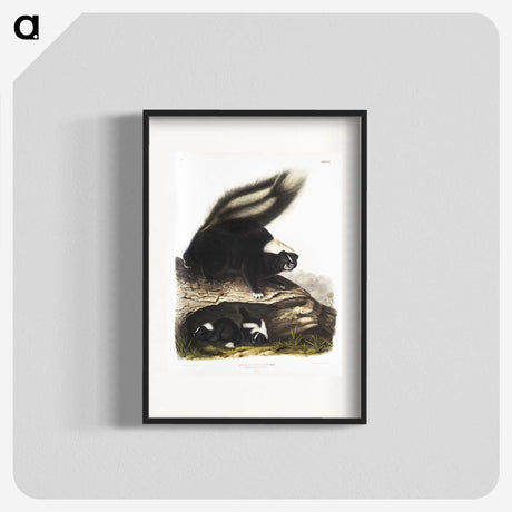 1-90_The-Viviparous-Quadrupeds_blk