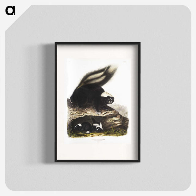 1-90_The-Viviparous-Quadrupeds_blk