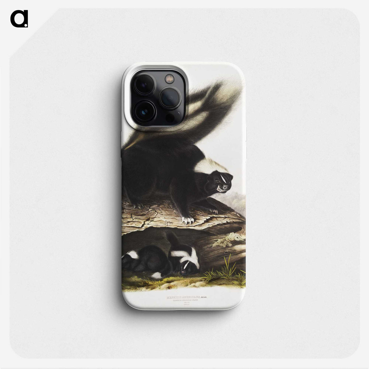 1-90_The-Viviparous-Quadrupeds_phone