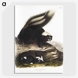 1-90_The-Viviparous-Quadrupeds_picture-crop