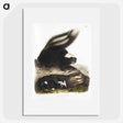 1-90_The-Viviparous-Quadrupeds_picture