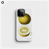 1-90_Treatise-on-Trees-and-Shrubs_phone