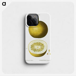 1-90_Treatise-on-Trees-and-Shrubs_phone