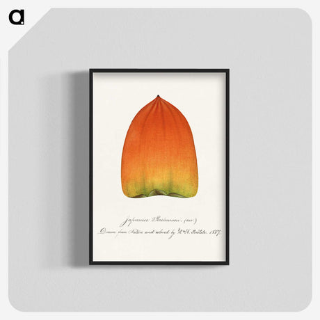 1-90_USDA-Watercolor-Fruit-Painting-Collection_blk-crop