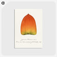 1-90_USDA-Watercolor-Fruit-Painting-Collection_postcard