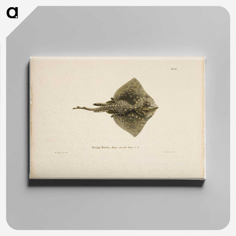 1-90_Wilhelm-von-Wright_canvas
