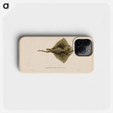 Thornback ray, male - Wilhelm von Wright Phone Case.