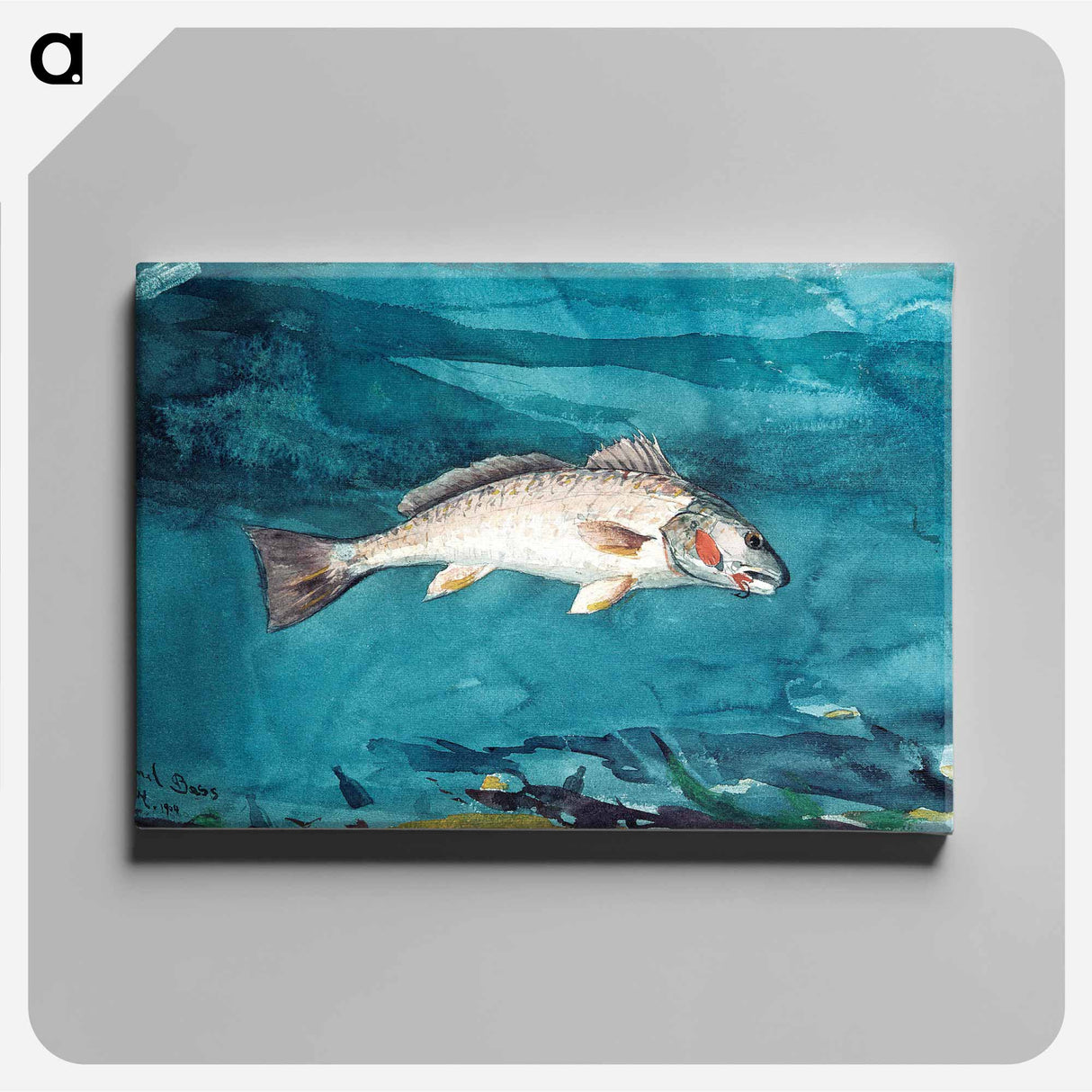 Channel Bass - Winslow Homer Canvas.