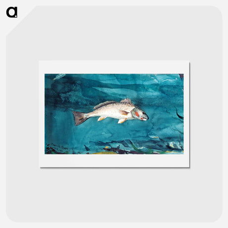 アートポストカード-Channel Bass - ウィンスロー ホーマー Postcard.