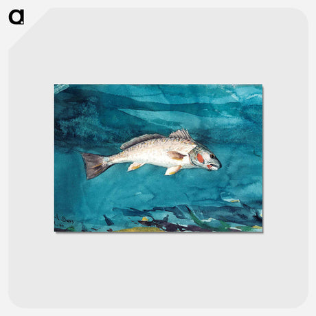 アートポストカード-Channel Bass - ウィンスロー ホーマー Postcard.