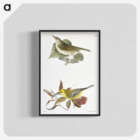 1-90_Zoology-of-New-York_blk-crop