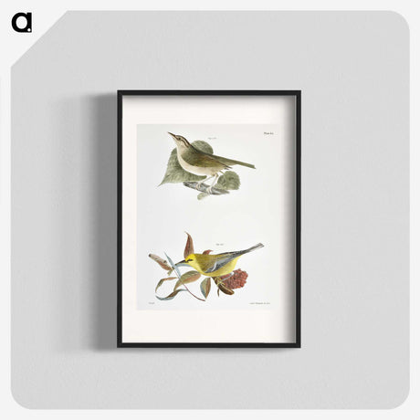 1-90_Zoology-of-New-York_blk