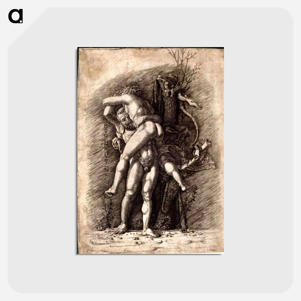 アートポストカード-Hercules and Antaeus - アンドレア マンテーニャ Postcard.