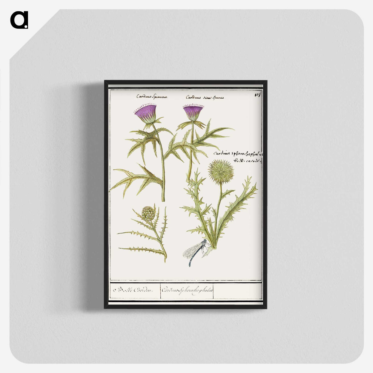 1-91_Anselmus-Boetius-de-Boodt_blk-crop