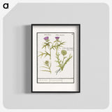 1-91_Anselmus-Boetius-de-Boodt_blk