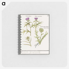 1-91_Anselmus-Boetius-de-Boodt_memo