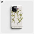 1-91_Anselmus-Boetius-de-Boodt_phone