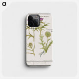 Thistle, Carduus and Artichoke, Cynara cardunculus - アンセルムス ボエティウス デ ブート Phone Case.