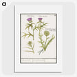 1-91_Anselmus-Boetius-de-Boodt_picture
