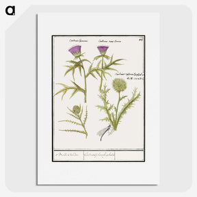 1-91_Anselmus-Boetius-de-Boodt_picture