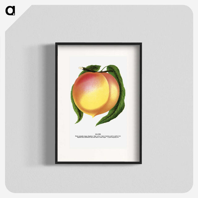 1-91_Botanical-Specimen-Plates_blk