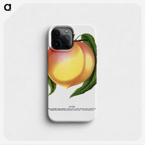 1-91_Botanical-Specimen-Plates_phone