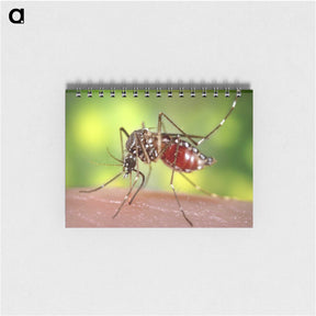 1-91_COVID-19_memo