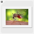 1-91_COVID-19_picture