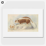 1-91_Charles-Hamilton-Smith_picture