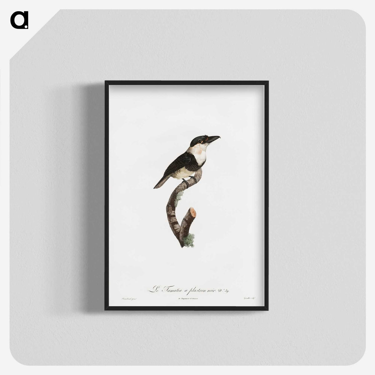 1-91_Des-Oiseaux-de-Paradis_blk-crop