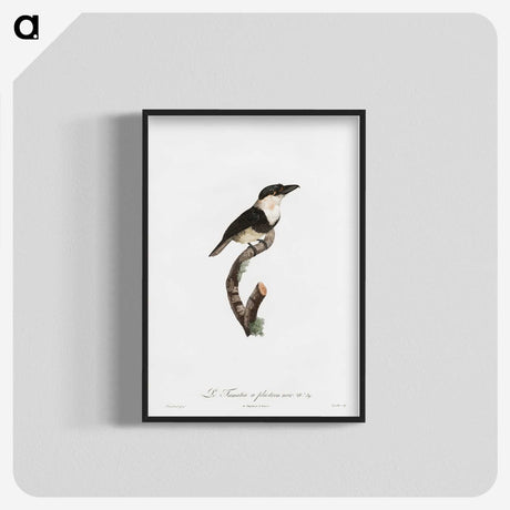 1-91_Des-Oiseaux-de-Paradis_blk-crop
