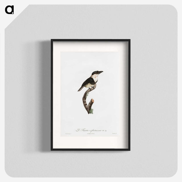 1-91_Des-Oiseaux-de-Paradis_blk