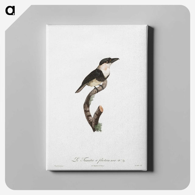 1-91_Des-Oiseaux-de-Paradis_canvas