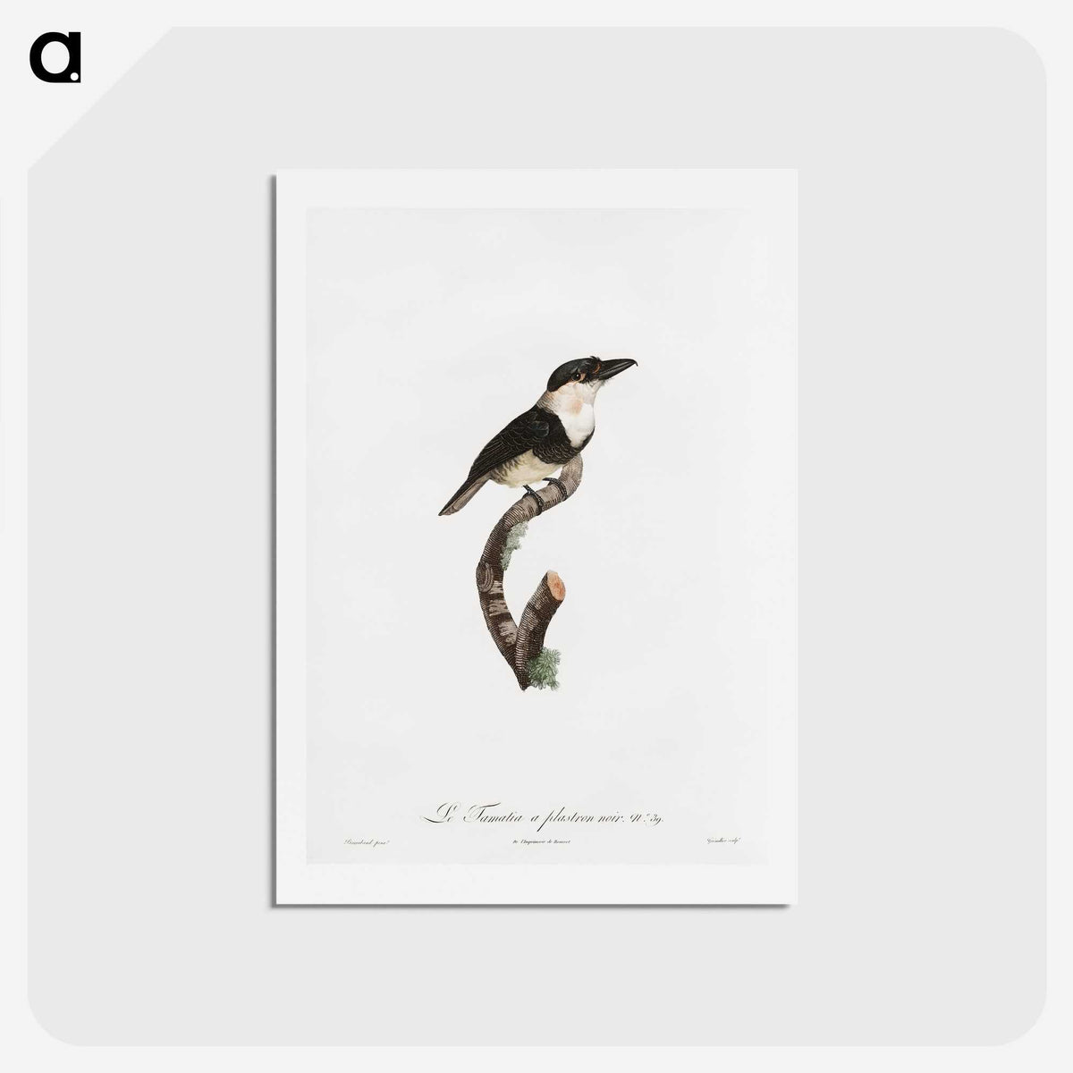 1-91_Des-Oiseaux-de-Paradis_hagaki