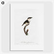 1-91_Des-Oiseaux-de-Paradis_picture