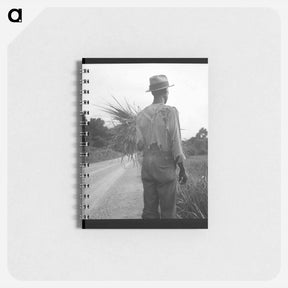 アートメモ帳-Old time living on cotton patch near Vicksburg, Mississippi - ドロテア ラング Memo.