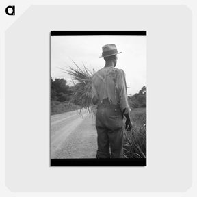 1-91_Dorothea-Lange_postcard