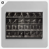 1-91_Eadweard-Muybridge_canvas