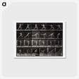 アートポストカード-Throwing a Spear
 - エドワード マイブリッジ Postcard.