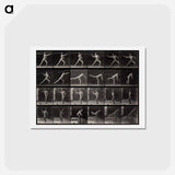 アートポストカード-Throwing a Spear
 - エドワード マイブリッジ Postcard.